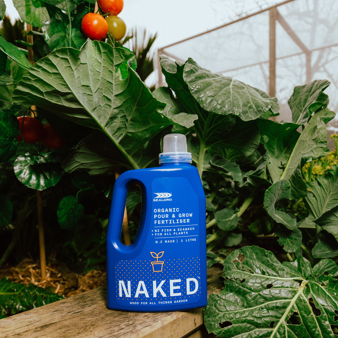 NPK: Three Nutrients Essentials for Plant Growth