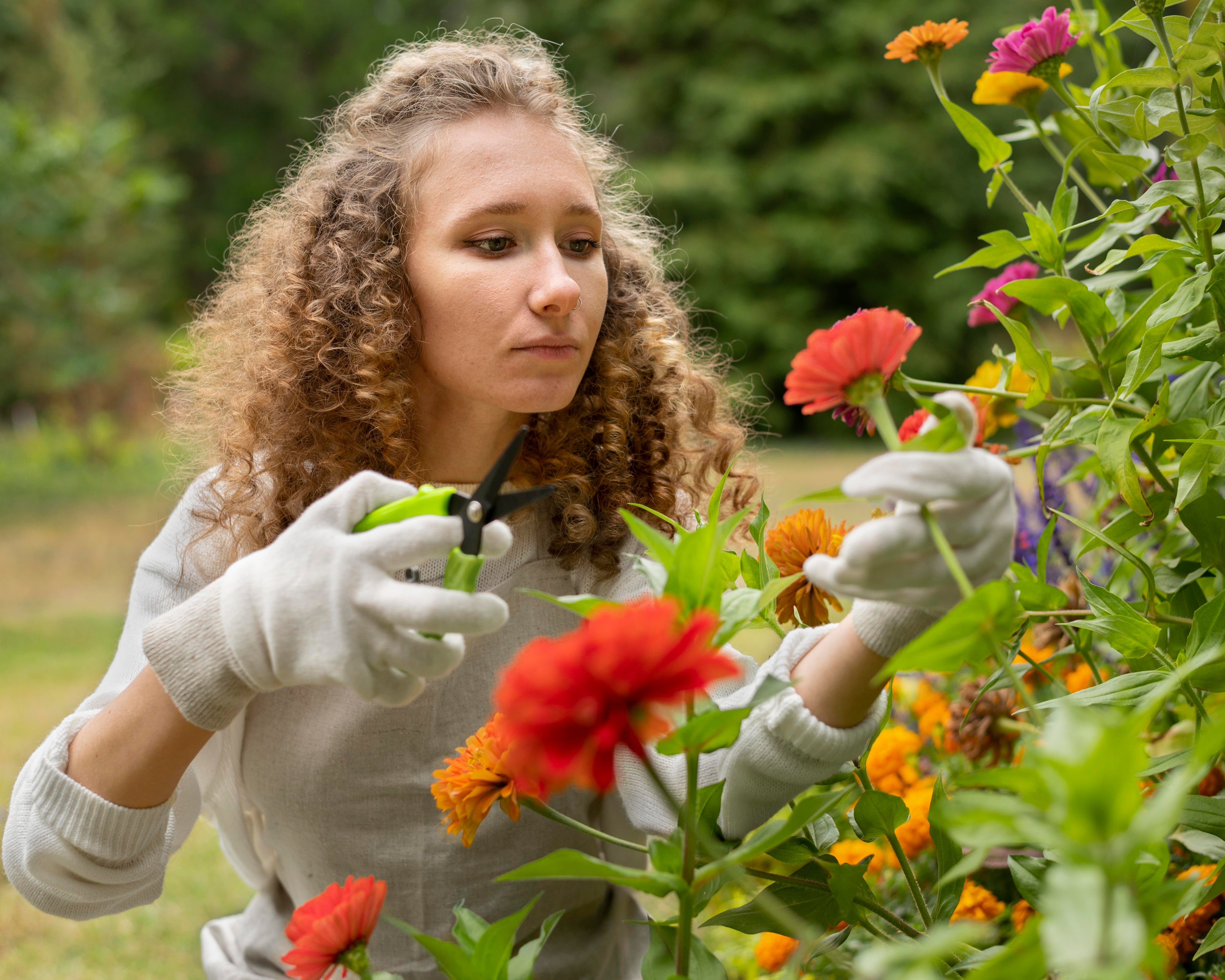 Concentrated Fertilisers: Use Less, Grow More