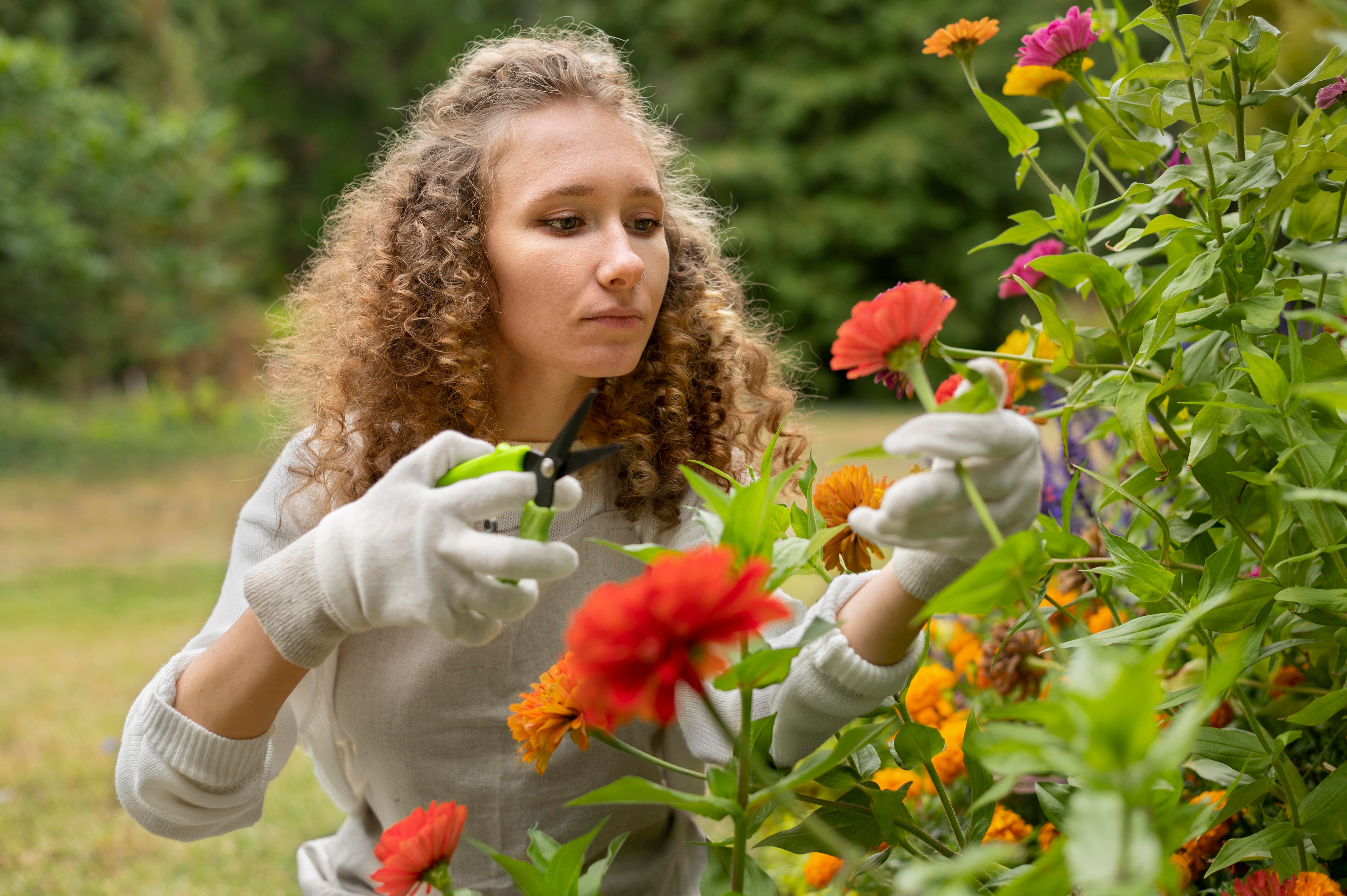 Concentrated Fertilisers: Use Less, Grow More