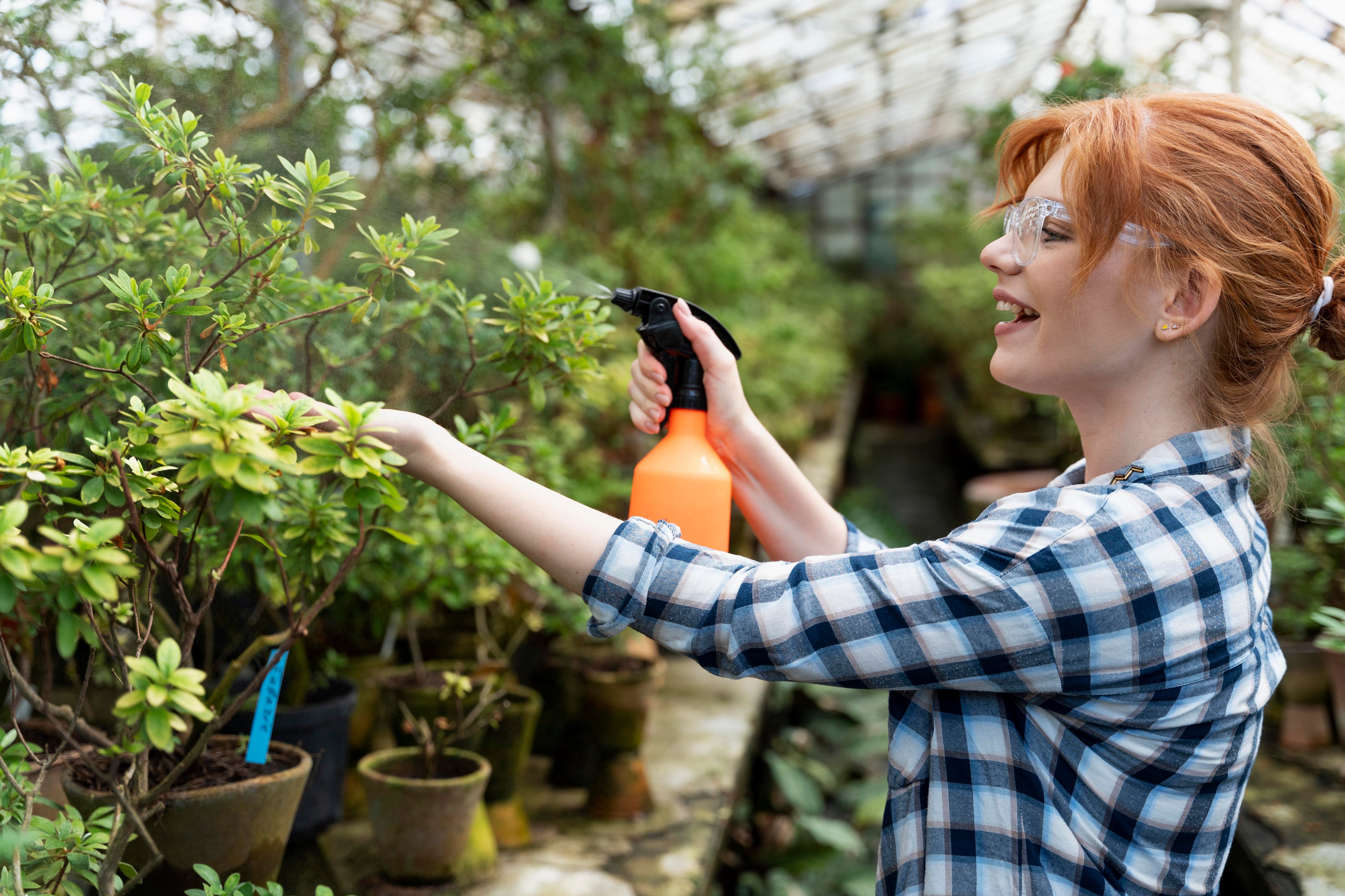 Sprayable Fertilisers: Faster, Effective Gardening