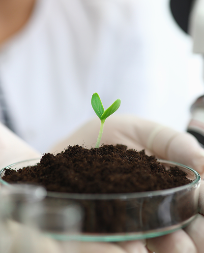 Sealord Naked Organic Fertiliser - Science