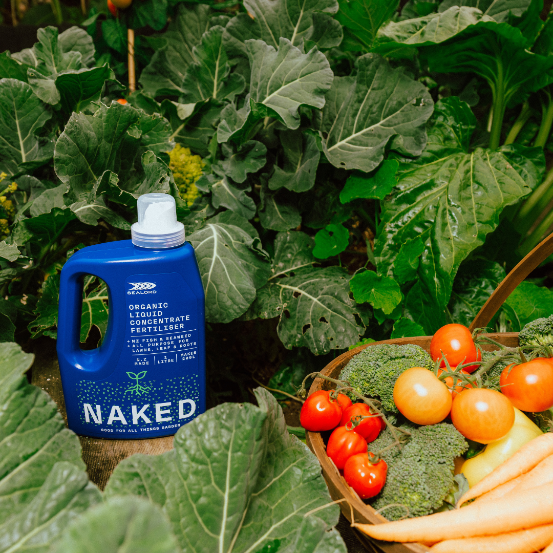 Why Seaweed Extract Is Transforming Organic Gardening