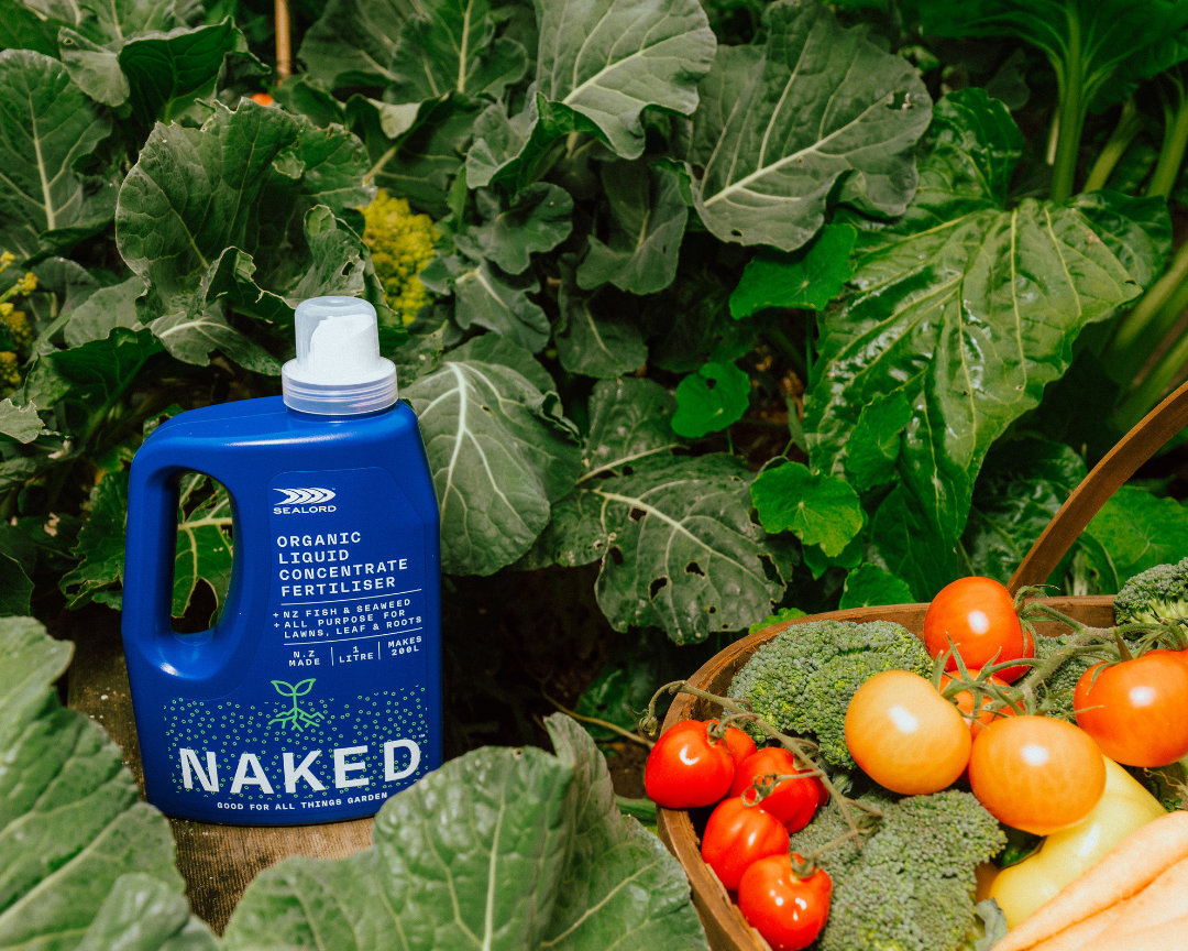 Why Seaweed Extract Is Transforming Organic Gardening