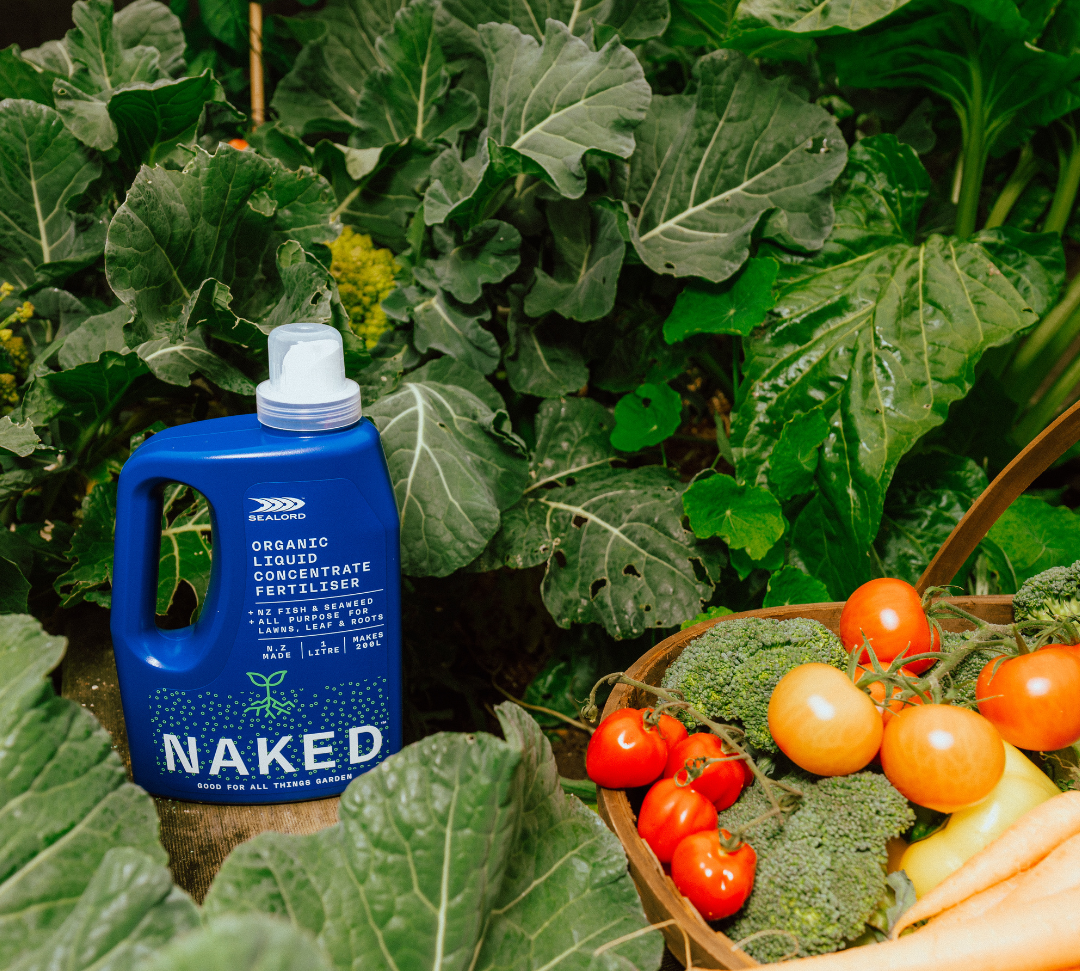 Why Seaweed Extract Is Transforming Organic Gardening