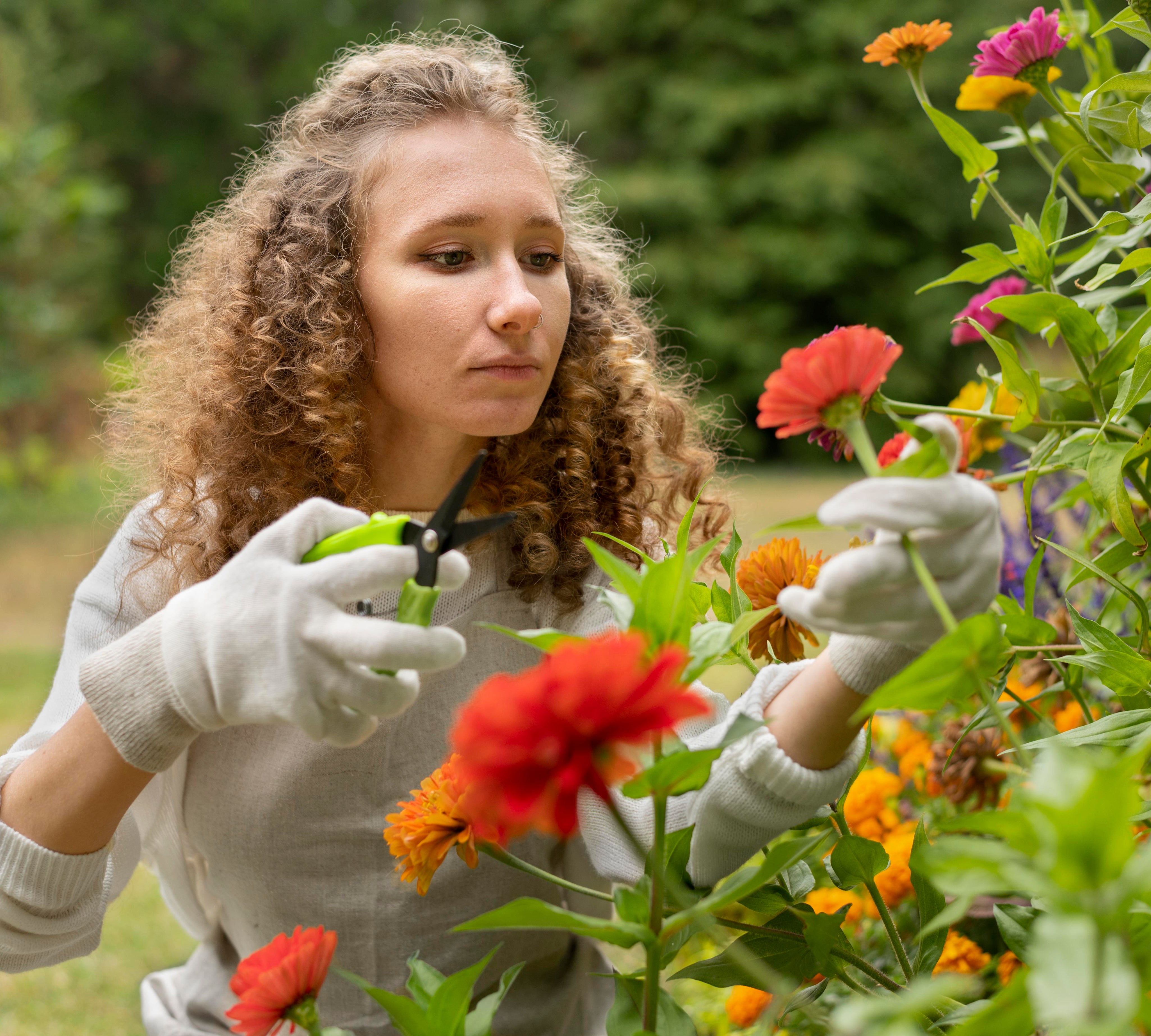 Concentrated Fertilisers: How Less Can Deliver More for Your Garden