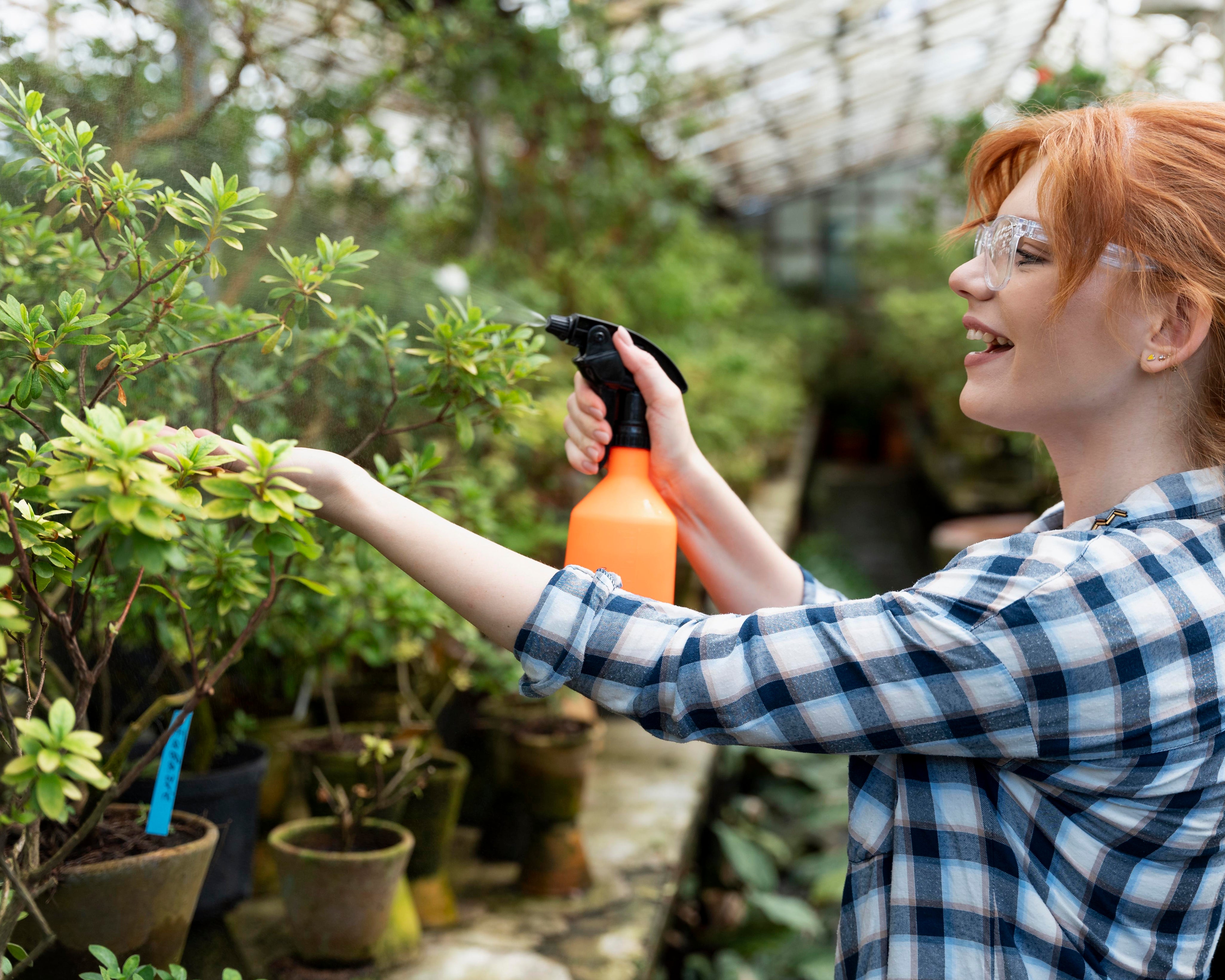 Sprayable Fertilisers: The Secret to Faster and More Effective Gardening