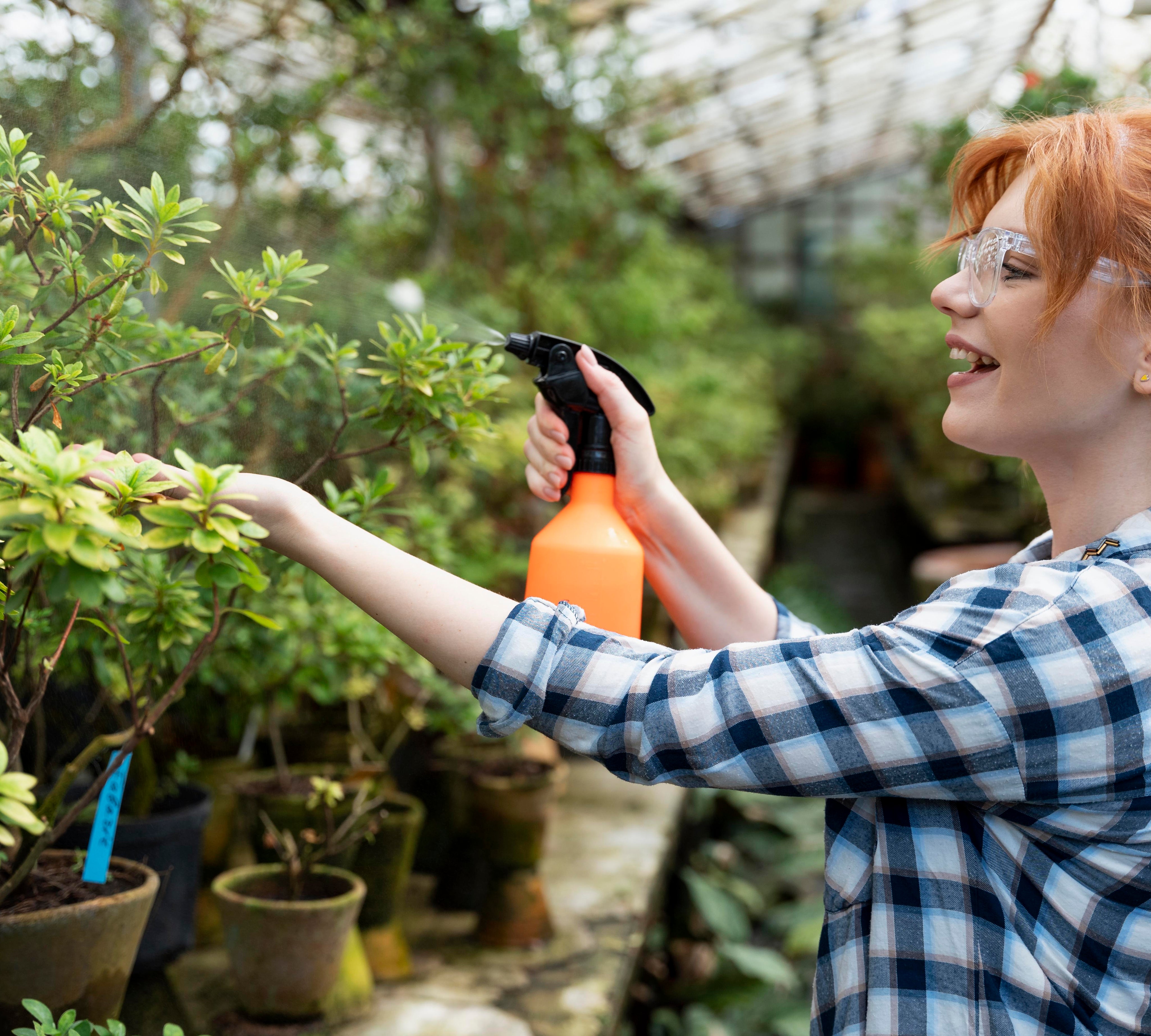 Sprayable Fertilisers: The Secret to Faster and More Effective Gardening